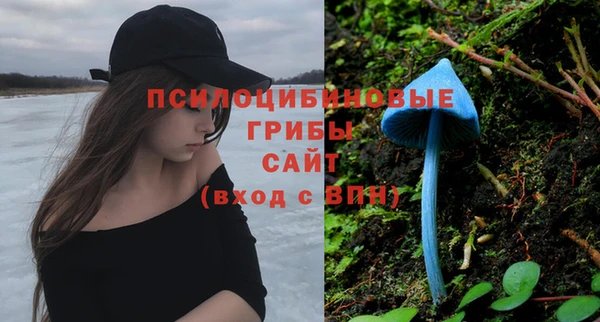 ALPHA-PVP Ачинск